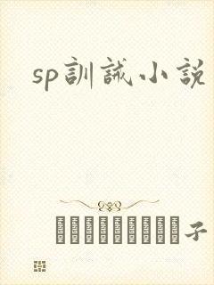 sp训诫小说
