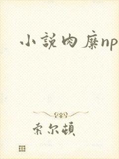 小说肉糜np封面