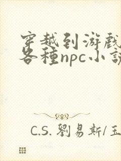 穿越到游戏里和各种npc小说