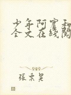 少年阿宾和房东全文在线阅读