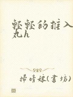 轻轻的推入合欢丸h封面