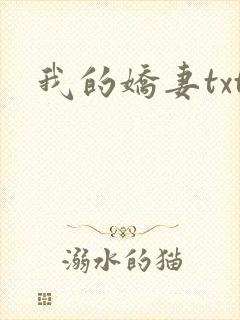 我的娇妻txt