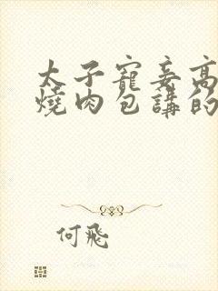 太子宠妾高肉红烧肉包讲的什么