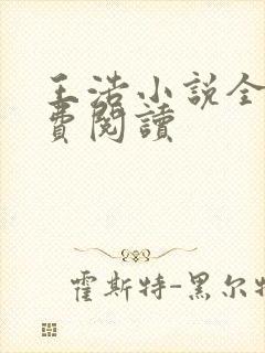 王浩小说全文免费阅读