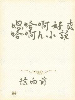 嗯哈啊好爽好深哈啊h小说