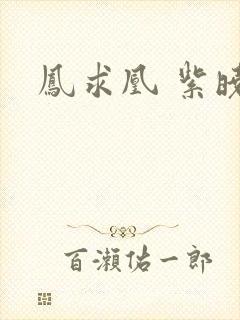 凤求凰 紫晓封面