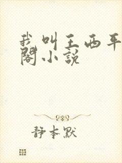 我叫王西平笔趣阁小说封面
