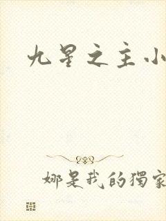 九星之主小说