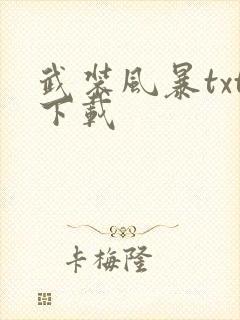 武装风暴txt下载封面