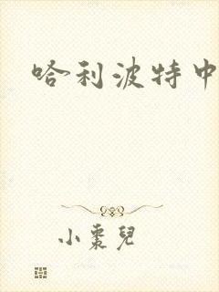 哈利波特中文版