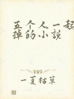 五个人一起会坏掉的小说封面