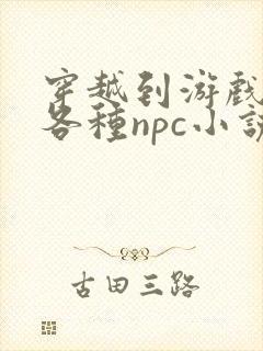 穿越到游戏里和各种npc小说