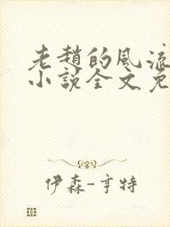 老赵的风流人生小说全文免费阅读封面