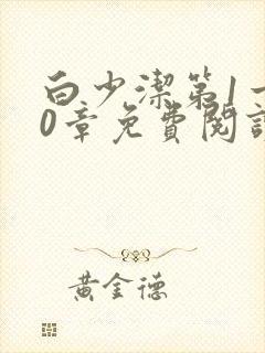 白少洁第1一40章免费阅读封面