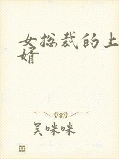 女总裁的上门女婿封面