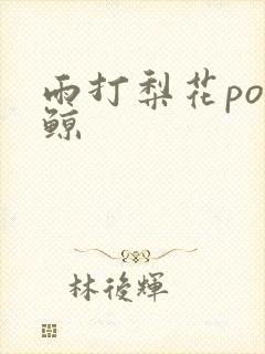 雨打梨花po问鲸封面