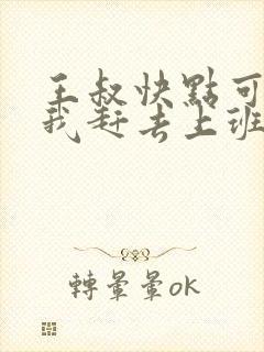 王叔快点可以吗我赶去上班