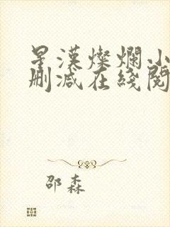 星汉灿烂小说无删减在线阅读