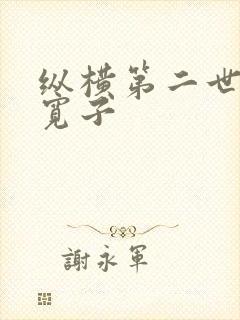 纵横第二世界 宽子封面