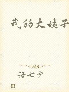 我的大姨子封面