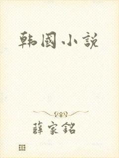 韩国小说封面