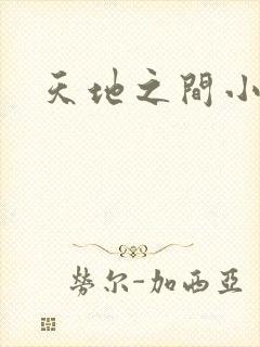 天地之间小说