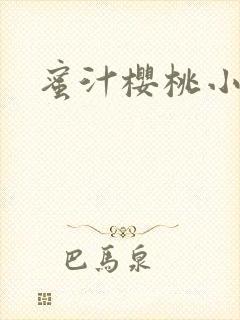 蜜汁樱桃小说封面