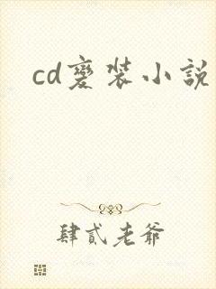 cd变装小说