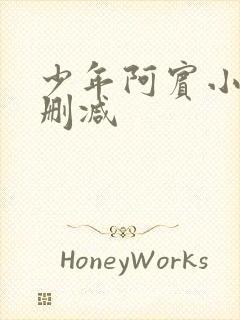 少年阿宾小说无删减