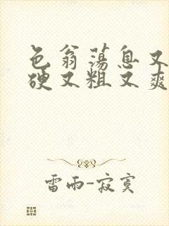 色翁荡息又大又硬又粗又爽