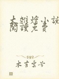 大杂烩小说全集阅读免费封面