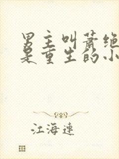 男主叫萧绝女主是重生的小说