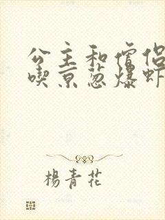 公主和僧侣 爱吃京葱爆虾的当归