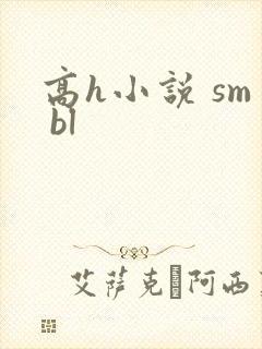 高h小说 sm bl封面