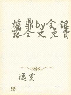 炉鼎by金银花露全文免费阅读笔趣阁