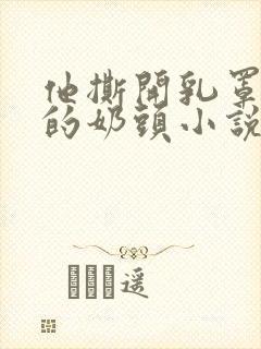 他撕开乳罩吸我的奶头小说