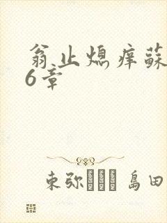 翁止熄痒苏玥第6章