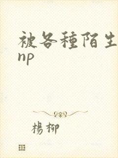 被各种陌生人 np封面