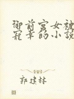 御前宫女被皇上宠幸的小说