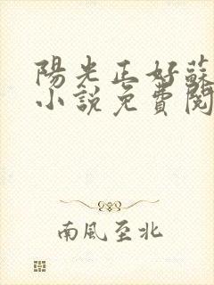 阳光正好苏玥玥小说免费阅读