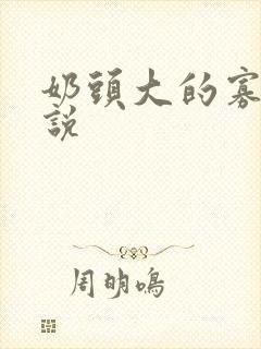 奶头大的寡妇小说