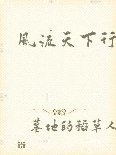 风流天下行封面