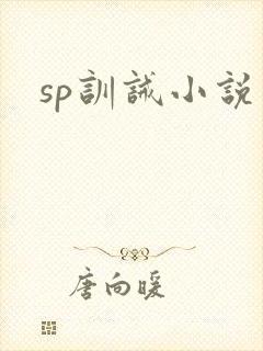 sp训诫小说封面