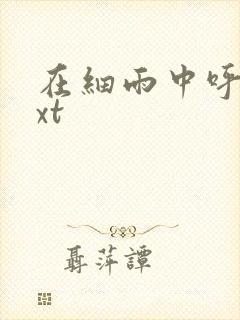 在细雨中呼喊txt