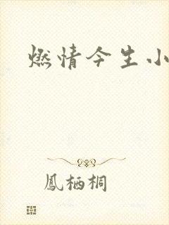 燃情今生小说