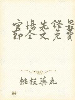 官场先锋最新章节全文免费阅读封面