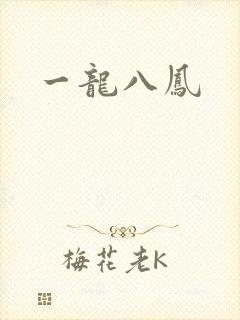 一龙八凤封面
