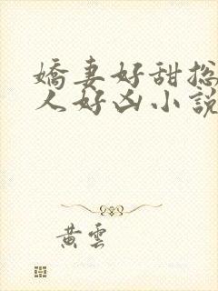 娇妻好甜总裁大人好凶小说全文阅读