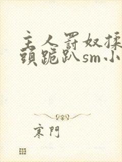 主人罚奴揉捏奶头跪趴sm小说