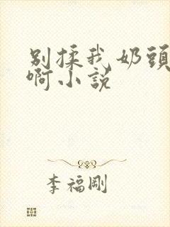 别揉我奶头嗯～啊小说